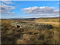 Sheepfold west of Rattenraw