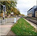 Tramlines at Wythenshawe