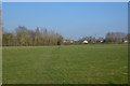 Sedgemoor : Grassy Field