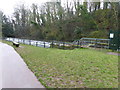 Weir on the River Frome in Eastville Park