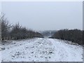 SJ7951 : Snowy footpath leading down from Castle Hill by Jonathan Hutchins