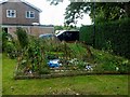 Weedy allotments