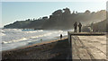 SX9676 : Watching the waves, Dawlish by Derek Harper