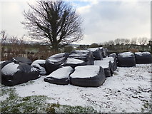 H4074 : Snow-covered silage bales, Mullagharn by Kenneth  Allen