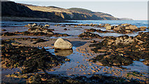 NH7458 : Beach near Scart Craig, Black Isle by Julian Paren