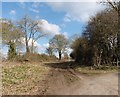 Track to Bush Farm