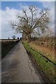 Country road at Broxwood