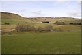 Hill above Llewetrog