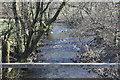 River Cothi near Llwyn-y-ceiling