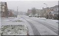 Blizzard along Burnham Drive in Whetstone