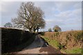 Country road near Broxwood