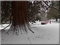 Bournemouth: snow in the Upper Gardens