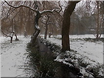 SZ0692 : Branksome: snow in Coy Pond Gardens by Chris Downer