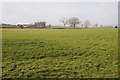 View across farmland to Nunsland