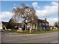 Stockwitch Cross