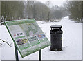 Stockwood snowy space