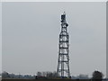 TF4213 : Telecommunications mast - Newton, Cambridgeshire by Richard Humphrey