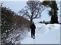 A walk in the snow