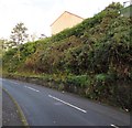 Steep bank above Station Road, Trealaw