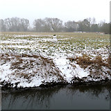 TL4152 : Haslingfield: a snowman by the river by John Sutton