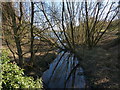 Stream feeding into Thornton Reservoir