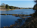 The western arm of Thornton Reservoir