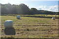 Bales in a field