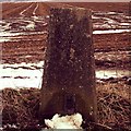 Trigpoint Pillar OSBM S1952 Bressingham