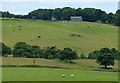 Ryal Farm overlooking the Stepback Brook valley