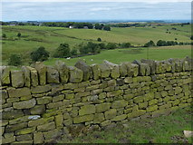 SD6721 : Dry stone wall at Higher Wenshead by Mat Fascione