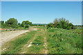 River bank path