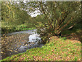 River Cole below Bacon?s End Bridge, east Birmingham