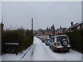 The "Beast from the East" Haslemere 2018 (P)