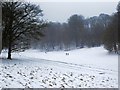 SP9912 : Snow covered Golden Valley, Ashridge Estate by Rob Farrow