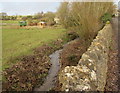 Unnamed stream in Fulbrook, West Oxfordshire