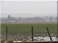 Farmland south-east of Chapelton near Edzell