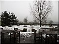 Deserted garden at Glasfryn