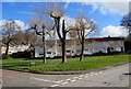 Trees and houses on a Croesyceiliog corner, Cwmbran