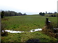 An open field, Corkhill