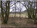 Railway path View in March