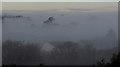 Trees in the mist, Shiphay