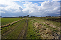 Farm track towards Ulceby Chase Farm