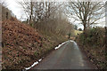 Lane near North Harton