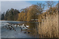 TQ2449 : Priory Pond by Ian Capper