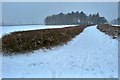 Snowy footpath to Furzton Lake