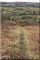 Path down Meldon Hill