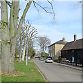 Bassingbourn: historic houses on South End