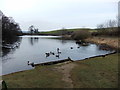 Throxenby Mere