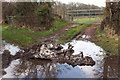 Snow remnant, East Hillerton