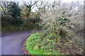 Narrow lane off the A386